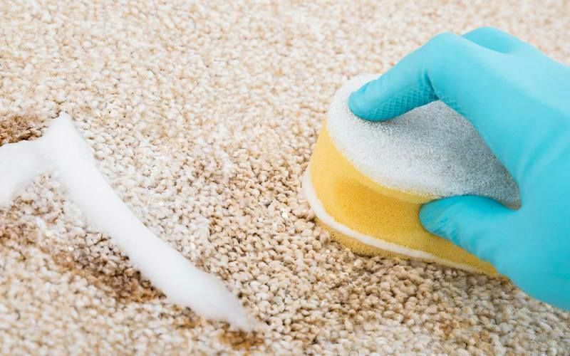 The Effortless Way to Clean a Carpet: A Tried-and-True Method