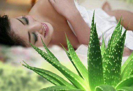Aloe Vera for Facial Care: A Miracle of Nature